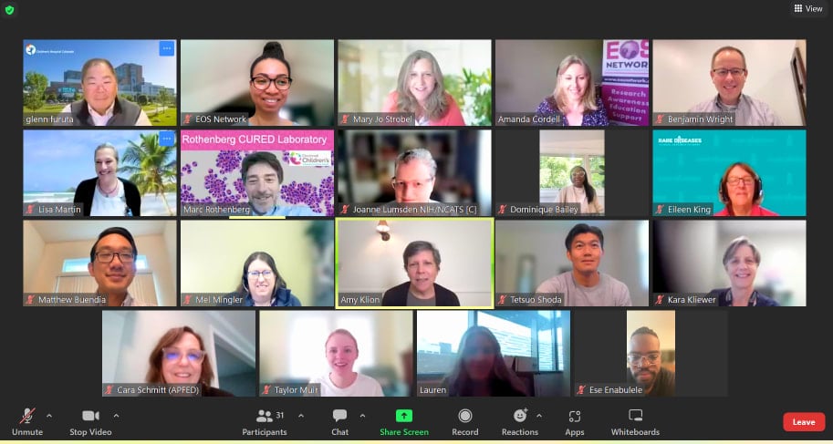 Screenshot of a Zoom call with gastroenterologists and representatives from eosinophilic disease charities